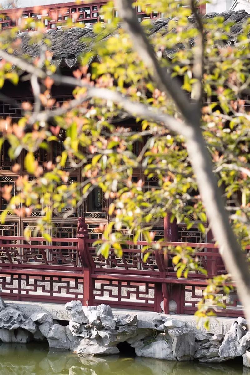 在魔都有十几套房什么体验,上海有什么私人园林