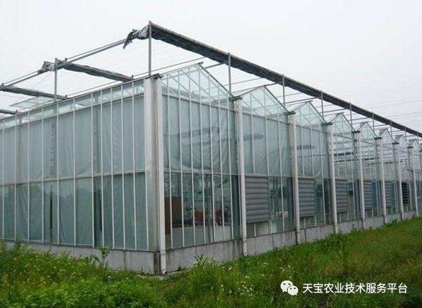 新型温室大棚哪种造价最低,温室大棚的种类及优点