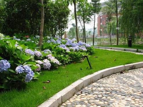 福州一中排名怎么样,福州一中全部排名