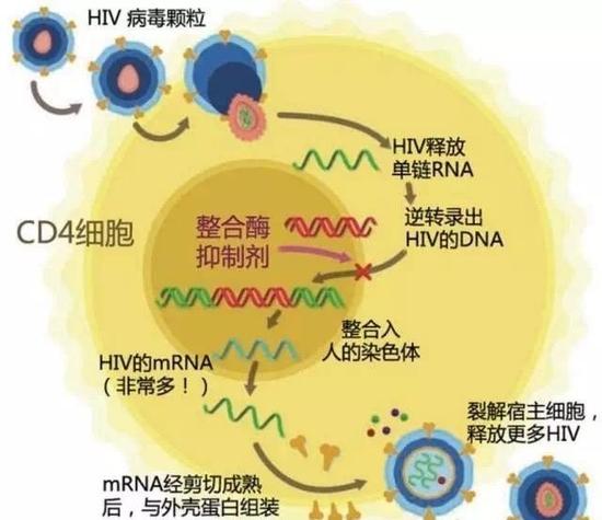 只有膝关节痛是不是痛风,只有关节痛是阳了吗