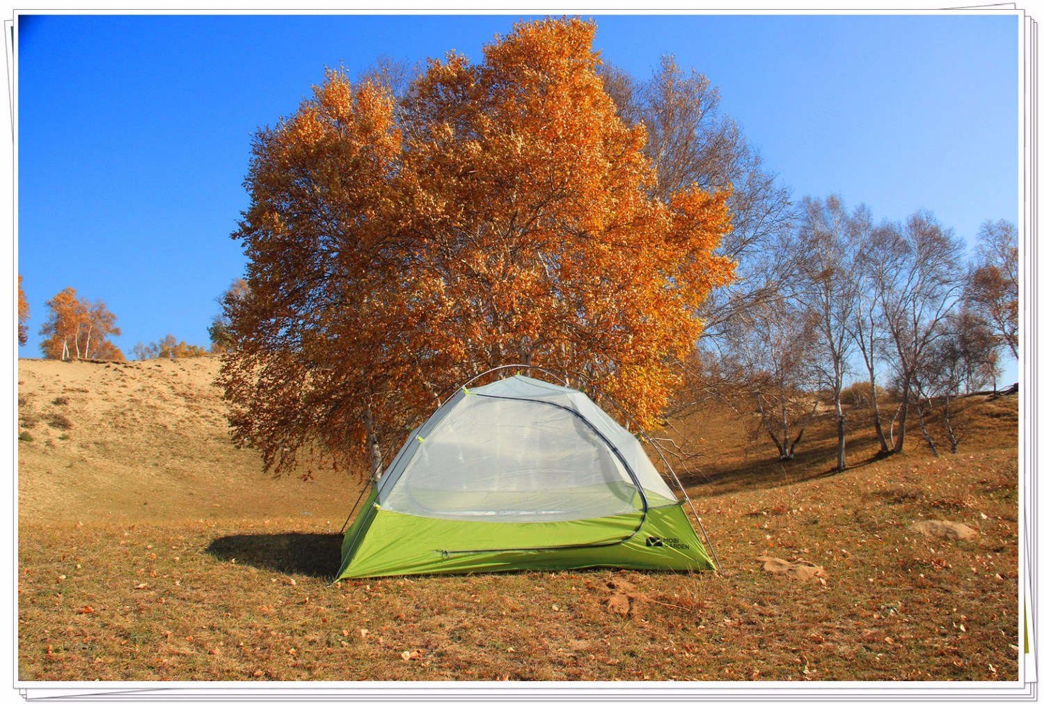 牧高笛新大洲联名帐篷,牧高笛新冷山户外帐篷