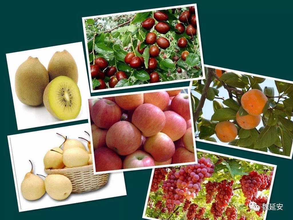 魏延安,魏延安苏大强理财