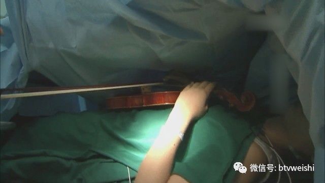 养生堂揭秘大脑的神秘物质,养生堂最新视频