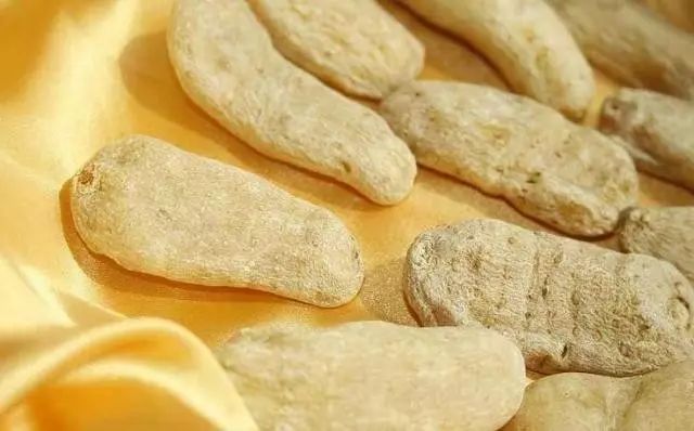 毕节天麻图片,中国大方天麻之乡介绍