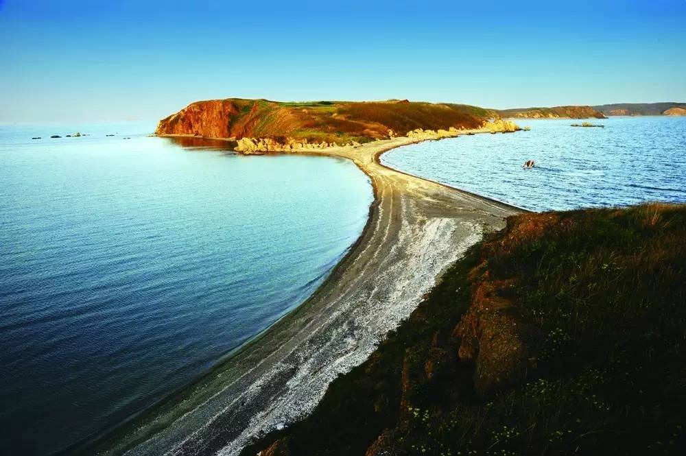 金普新区旅游和文化,金普新区生态湿地公园建在哪里