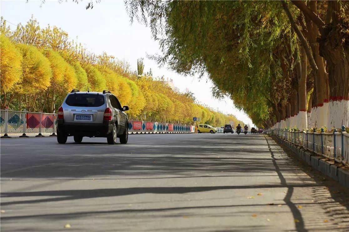 秋日里，有一抹乡愁叫且末！