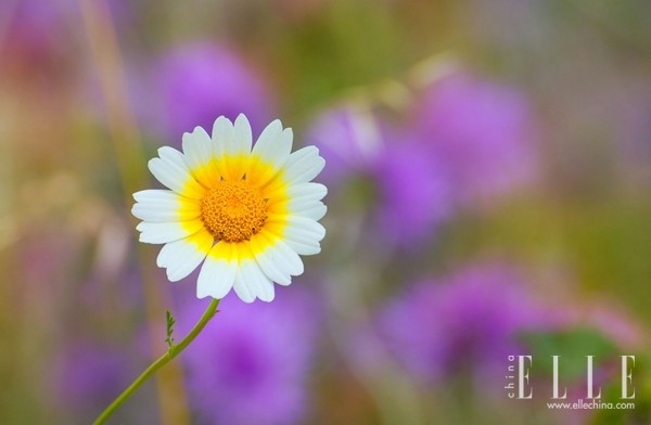 情侣吵架还能和好如初,怎样吵架和好如初