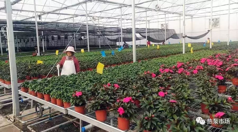 大棚供暖量计算公式,温室热负荷计算