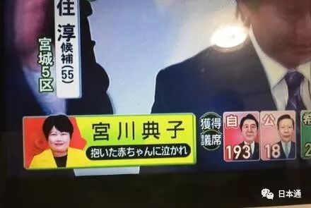 日本参院选举候选人,日本历次众院选举结果