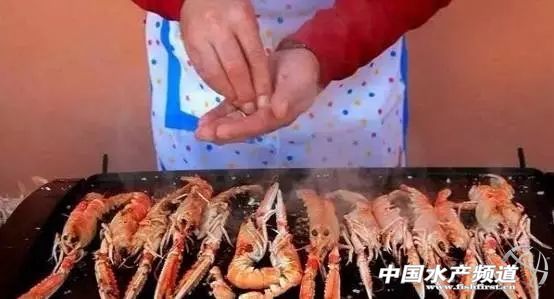 虾类有几千种，你又认识几种？