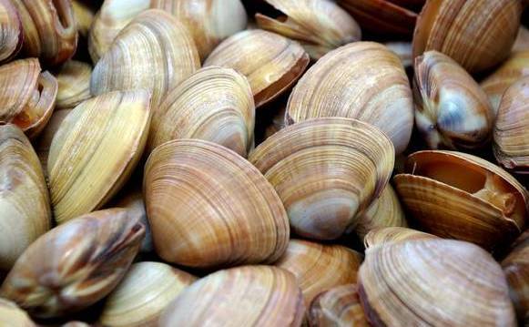 养生知识手脚冰凉,健康手脚冰凉一招搞定