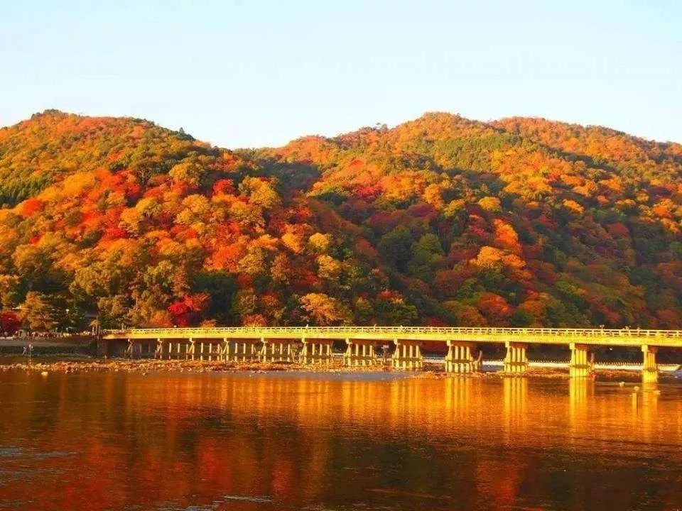 最高级的红色是什么,最高级最不过时的红色是哪一种