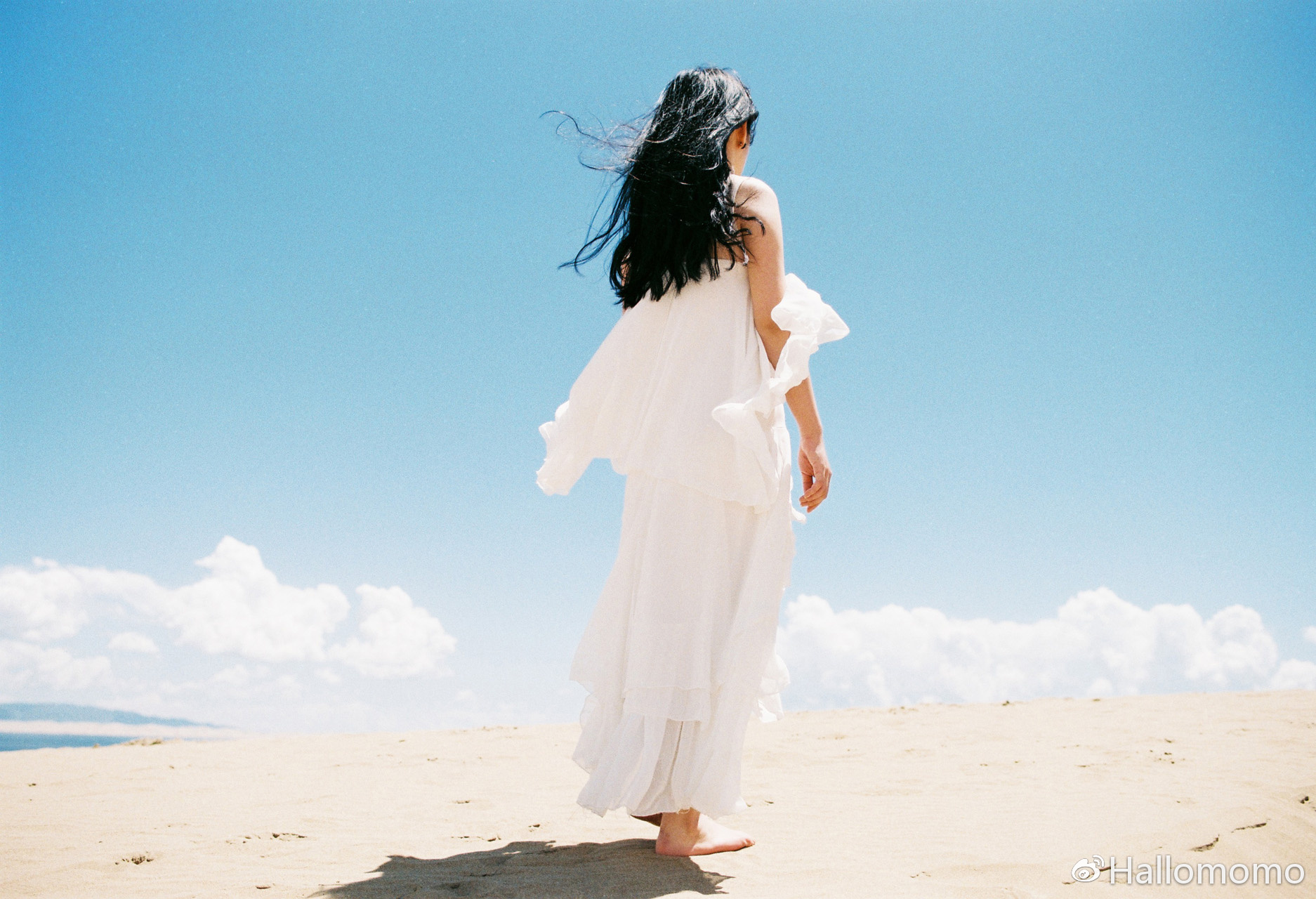 中画幅胶片机推荐,有哪些值得买的胶片机