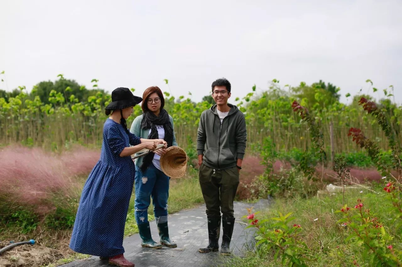花田里逛了3小时，花材、花束、年度美照都有了