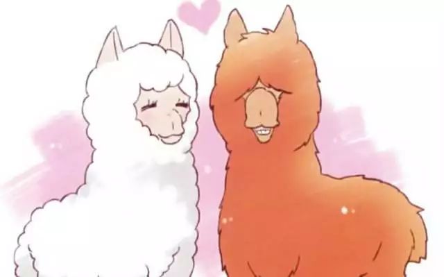 到韩国必买的10款面膜,日本购物必买清单零食