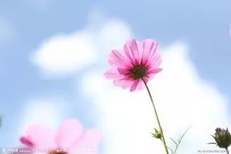 高原读书：吴昕孺｜《心的深处有个宇宙——在现代诗中醒来》