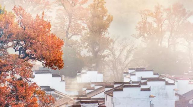 吃了酵素肚子咕咕拉肚子,吃酵素每天都拉肚子