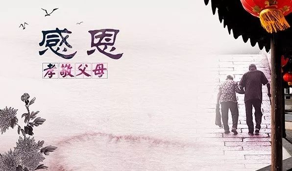 久久重阳,登高望远,大连棒棰岛景区推出敬老优惠