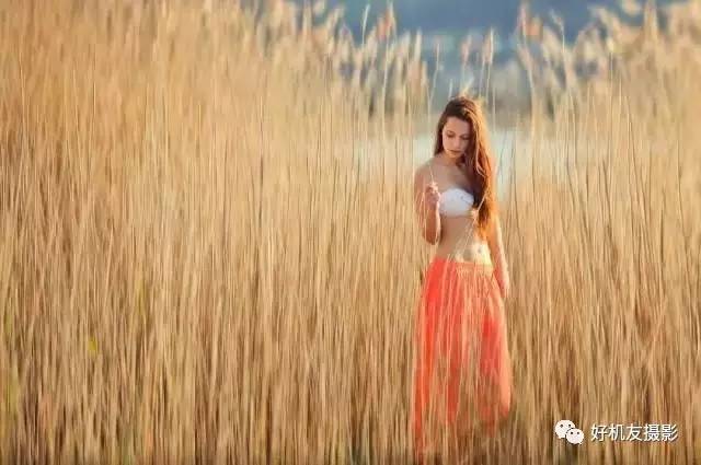 绉嬪ぉ灏嗚鏉ヤ复,绉嬪ぉ鍗冲皢鏉ヤ复