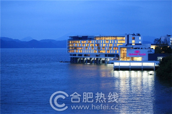 瀹犵墿鏂版父,瀹犵墿鏃呮父瓒嬪娍