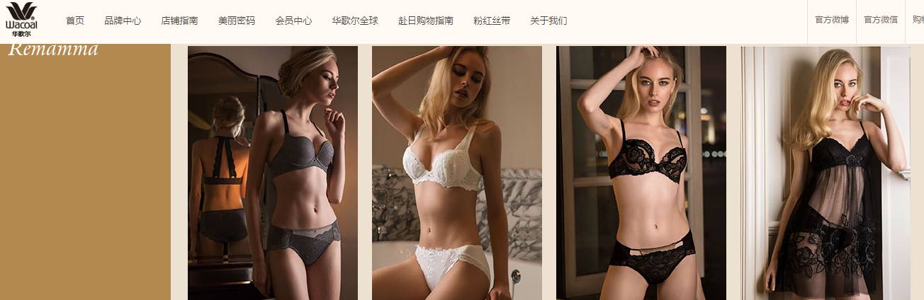 小众平价bra (平价bra推荐显胸小)