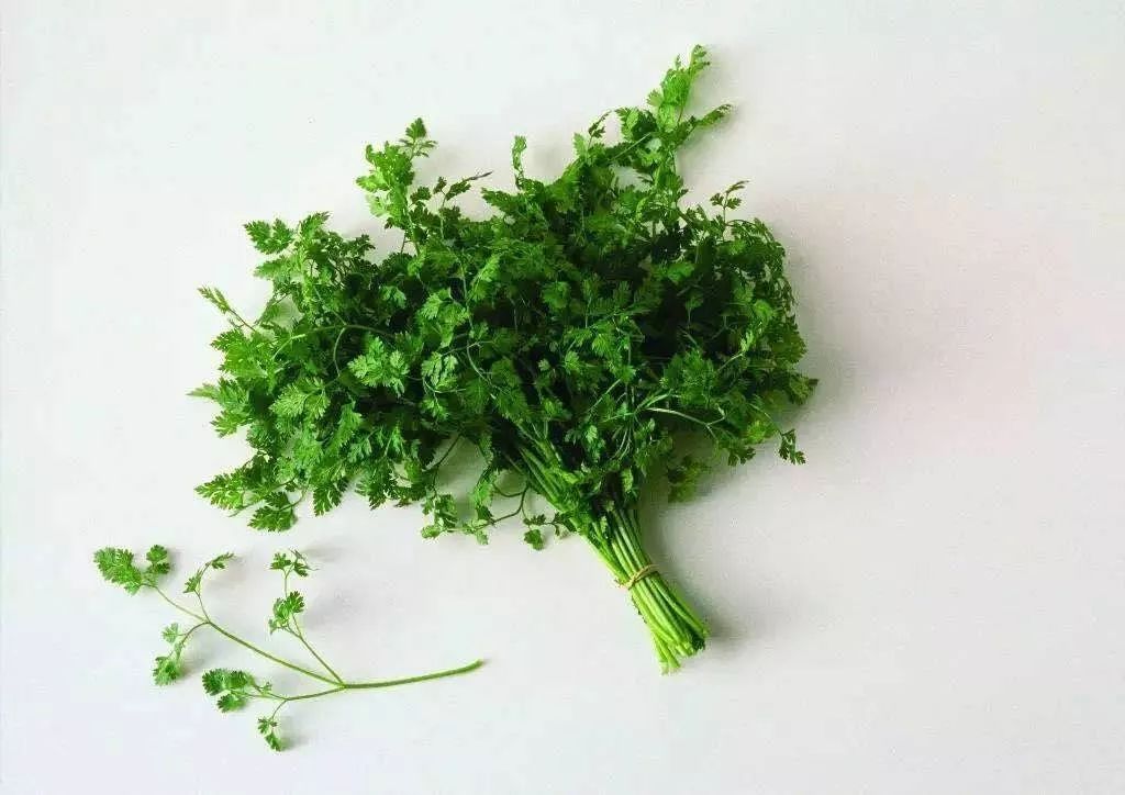香菜可以弄成干菜吃吗,香菜还能做什么
