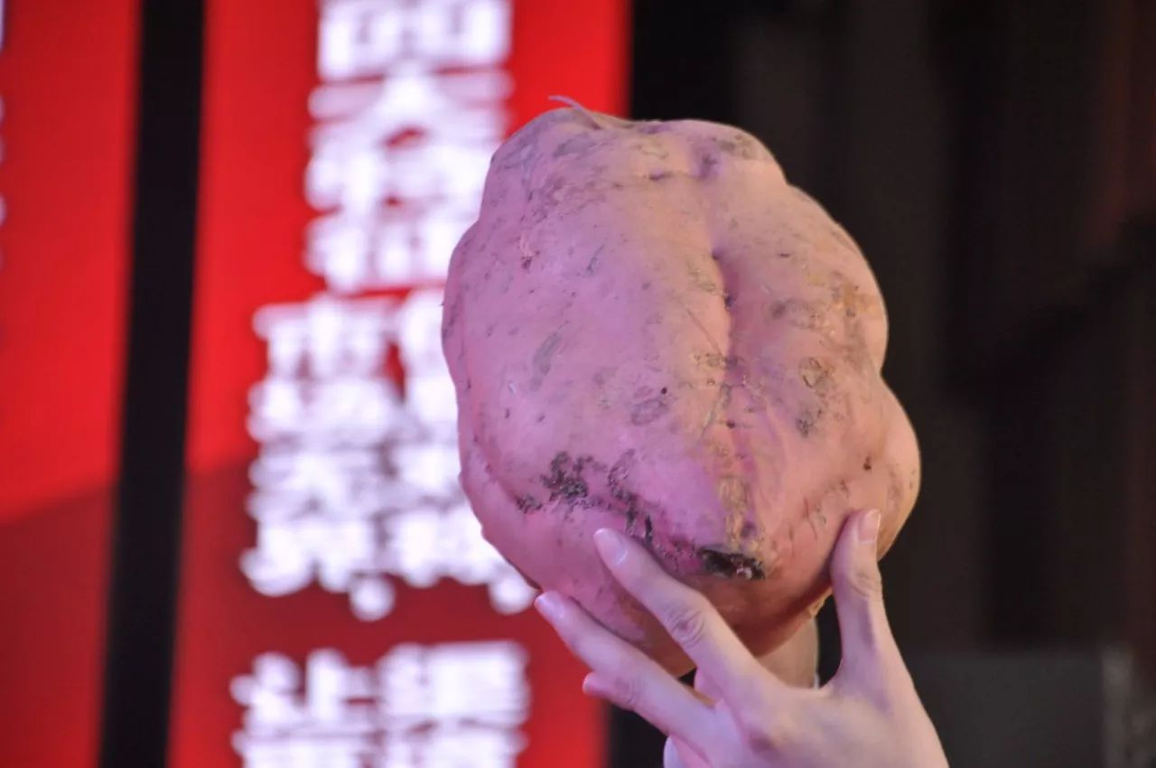 农资电商发展瓶颈及策略,农资电商十大模式