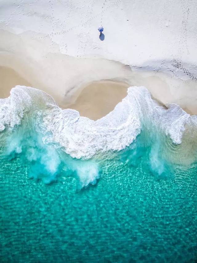 嘿，你吃过蓝蛋吗？