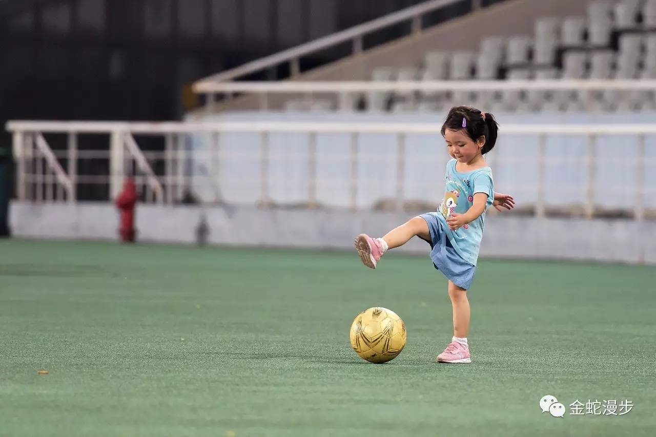 江西省第十届足球运动会2024赛程,税务杯足球比赛