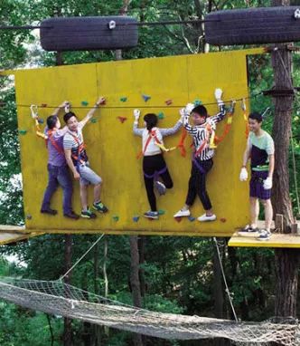 银杏舞，醉深秋｜送您最新赏杏精品自驾游线路！