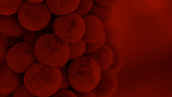 吴彦祖的颜值巅峰肌肉照片,吴彦祖年轻时候的颜值避其锋芒