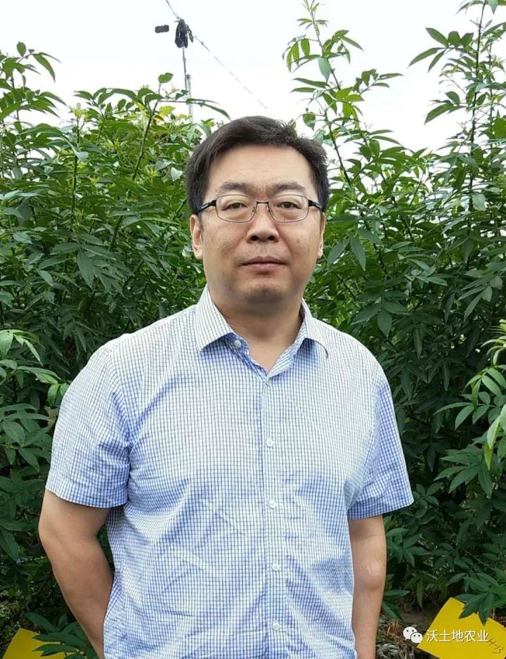 有机肥增重,通用型有机肥与专用有机肥哪个好