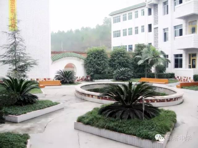 威远校园足球比赛奖杯,威远足球队最新比赛小学