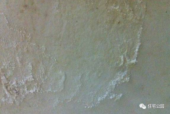 墙体发霉漏水起皮怎么办,墙体发霉返潮的原因