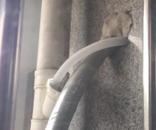 空调打孔落水管打坏了怎么修,安装空调打爆水管怎么修复