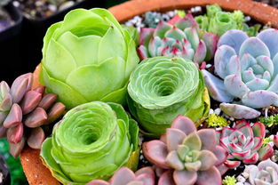 不要得罪小人完整版,不要得罪小人是什么意思