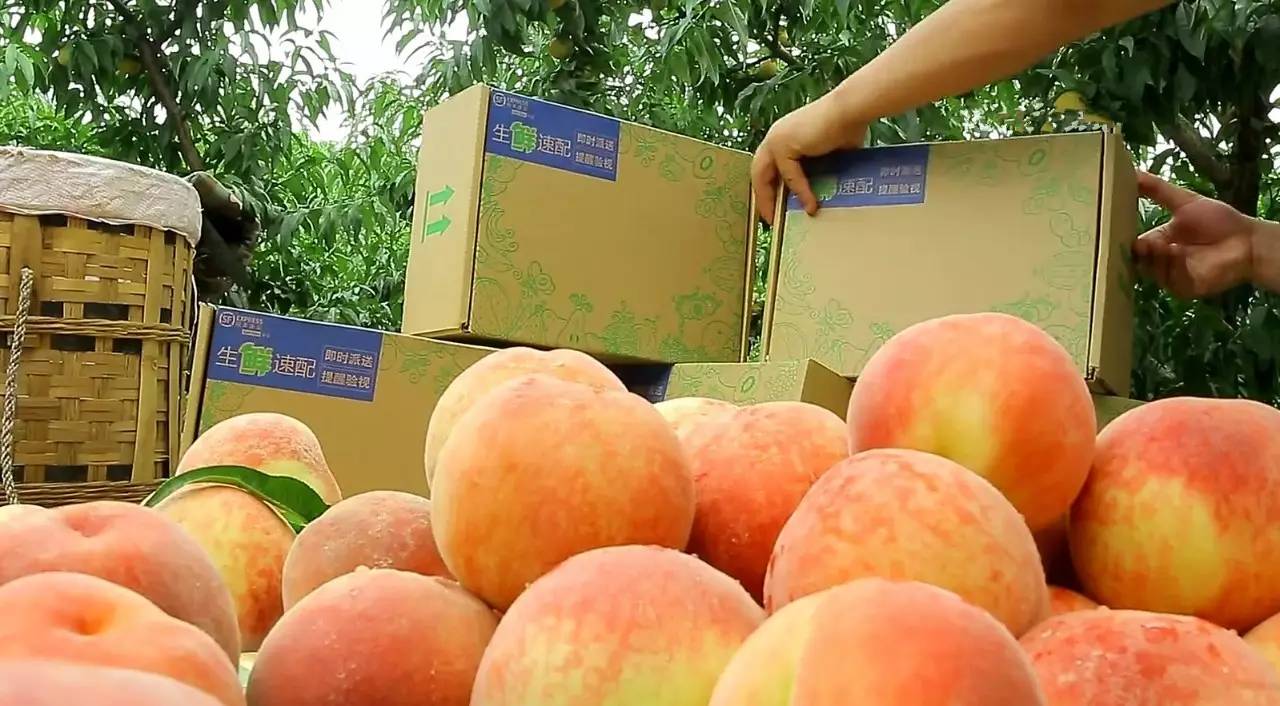 不是天生黑的被晒黑的怎么变白,不是天生黄皮怎样美白