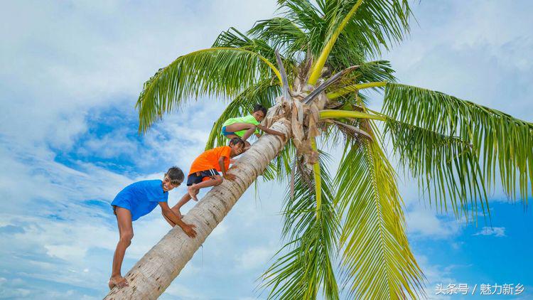 仙本那跳岛简介,仙本那跳岛图