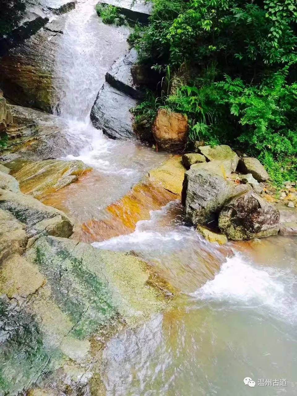 文成县珊溪水库地图,正宗文成珊溪水库有机鱼