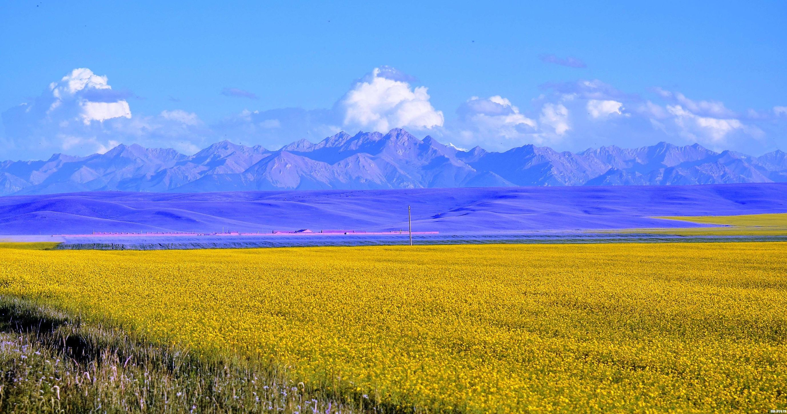 亚洲第一马场山丹军马场,世界第一大马场