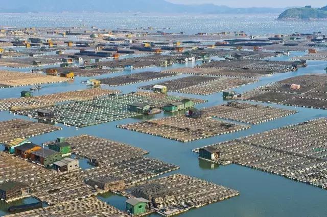 马代和帕劳哪个好玩,帕劳旅游攻略马代