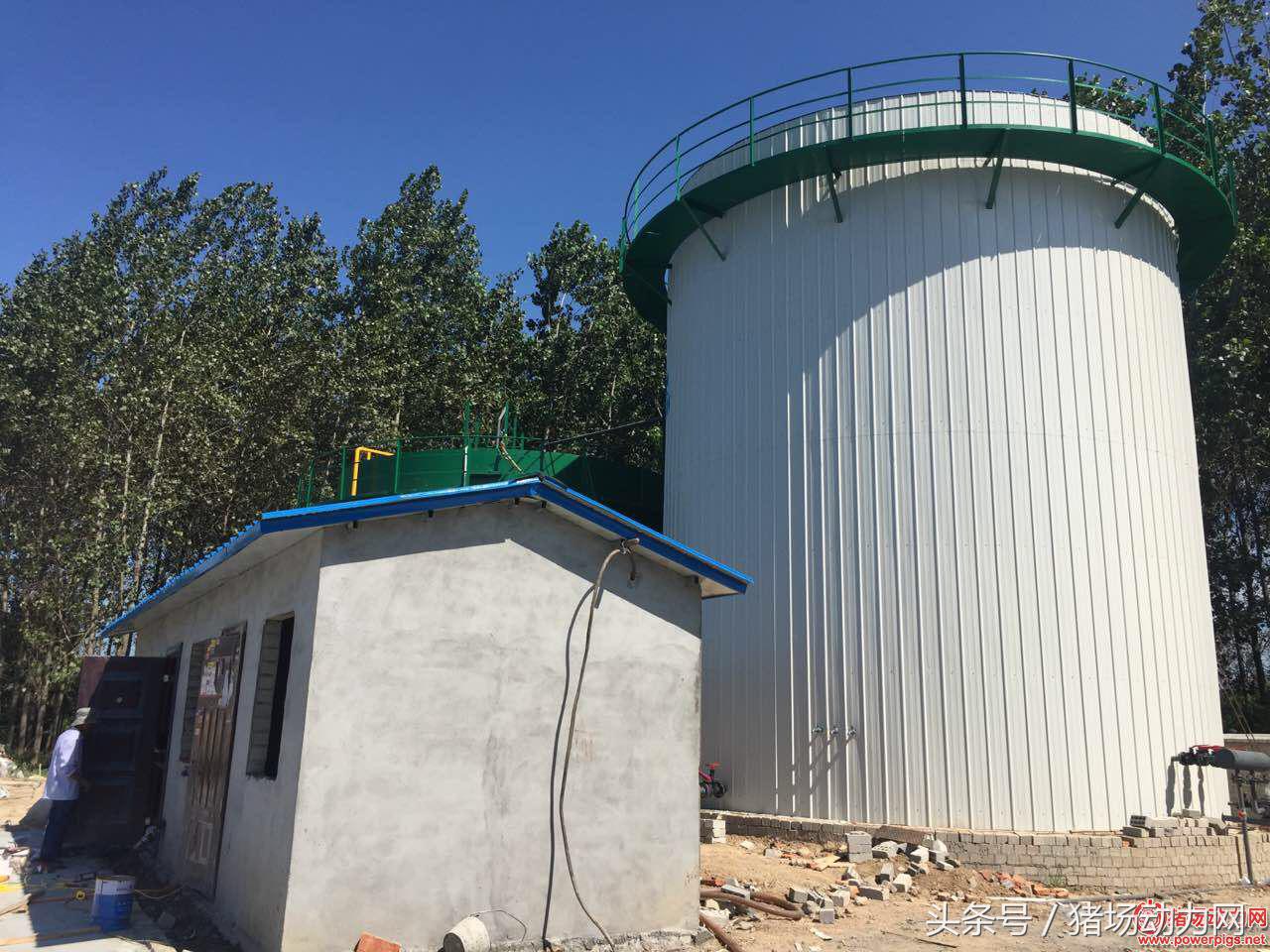 养猪场环保不合格,猪场环保不合格怎么投诉