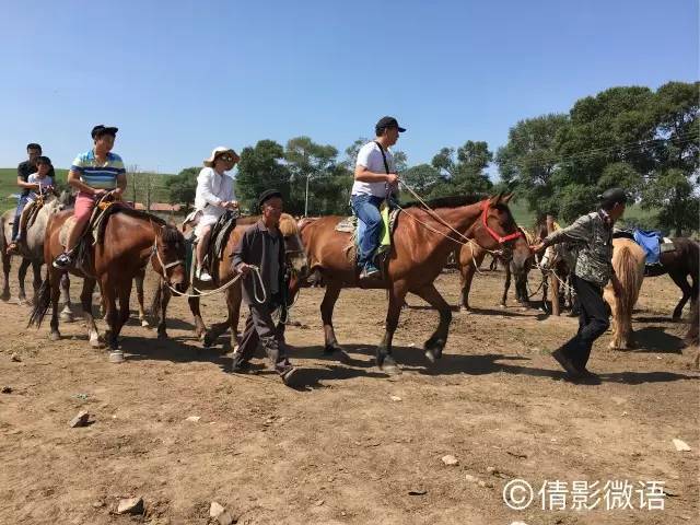 倩影留痕｜承德·丰宁坝上草原游记