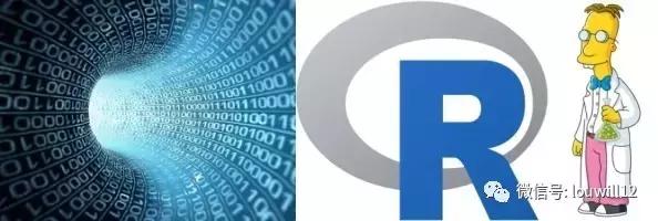 r语言apc包,r语言必学包