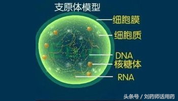 儿童支原体肺炎阿奇7天不管用,儿童肺炎阿奇霉素为什么用2-3周