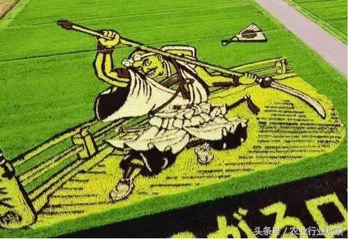 日本农业以什么经营为主,日本劳动力减少的方法