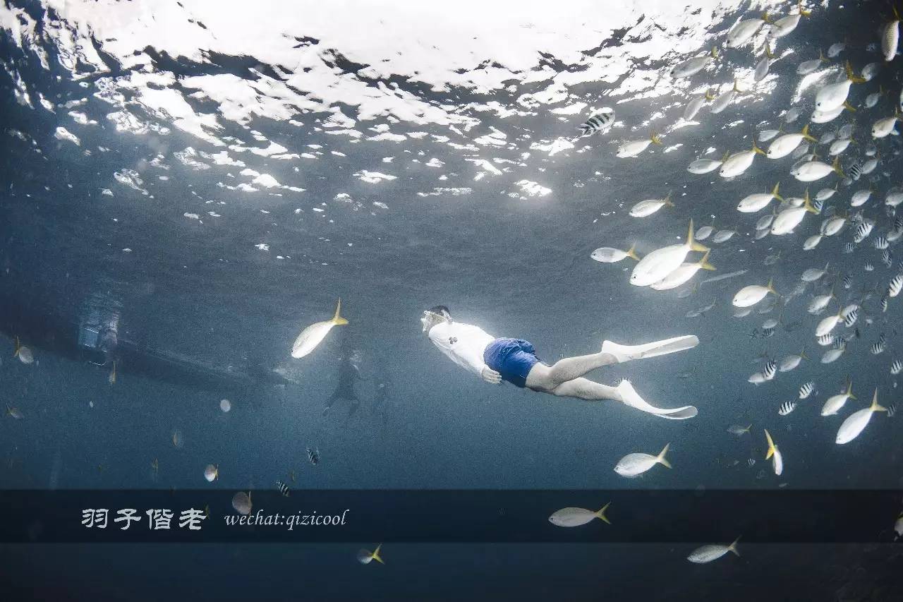 帕劳旅游发展的前景,去帕劳注意事项和必备品