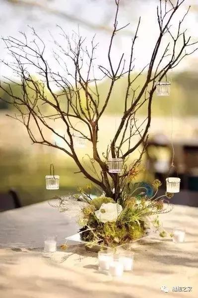 生活创意｜捡几根枯树枝搁家里，竟然有十几种用途简直成了家里的装饰品，一道风景线