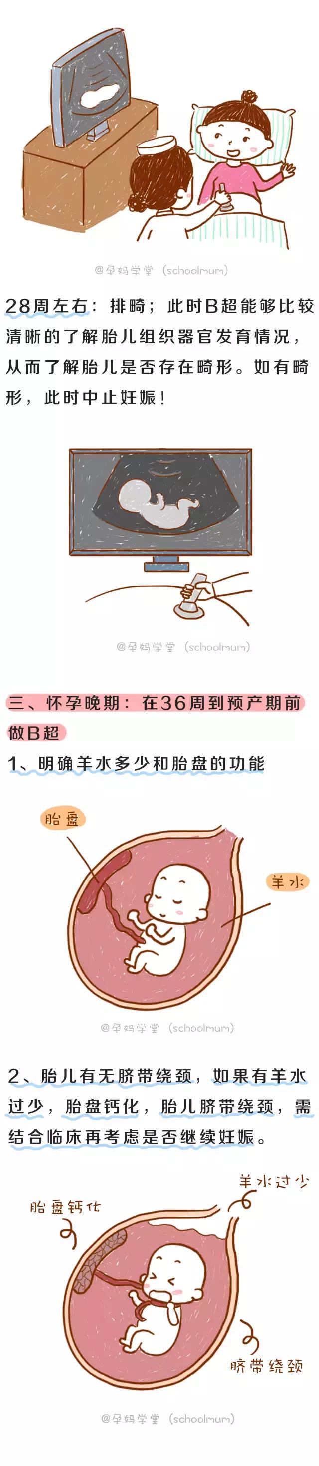 3分钟读懂孕期B超单！胎宝发育是否正常，答案都在这些数据里！