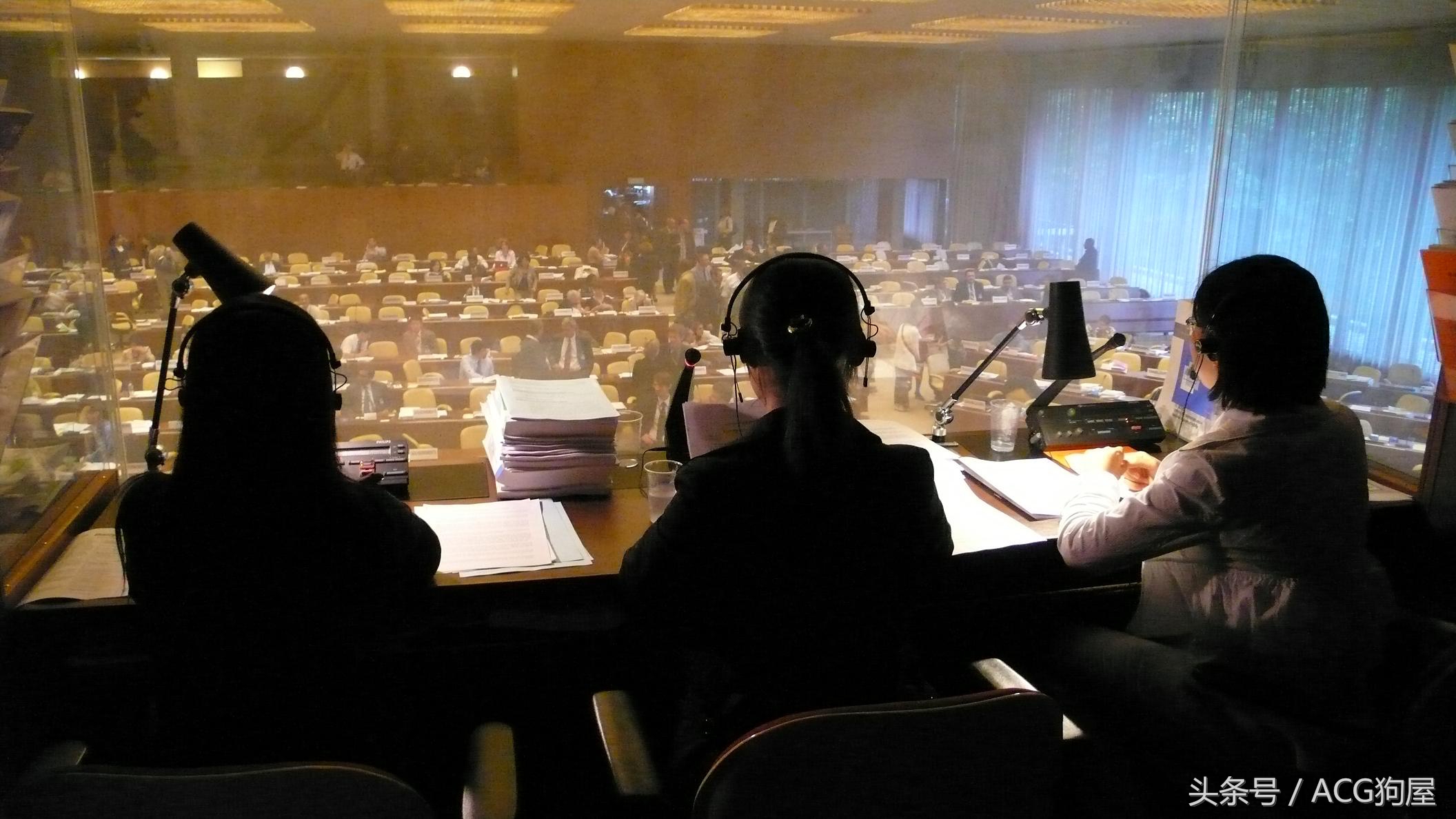 别谈爱那是耍流氓，200元一天请全程口译的B站到底搞错了什么